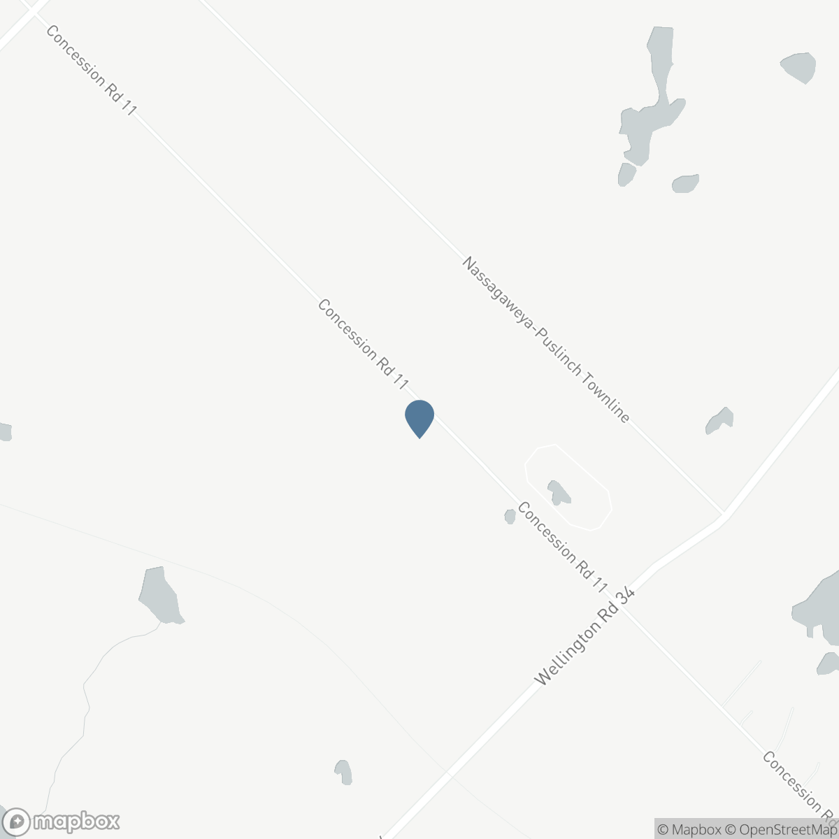 4512 CONCESSION 11 Road, Puslinch, Ontario N0B 2J0